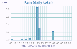 Rain