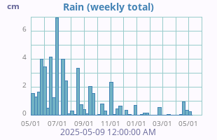 Rain